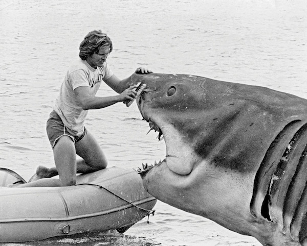 JAWS Essay Outtakes
