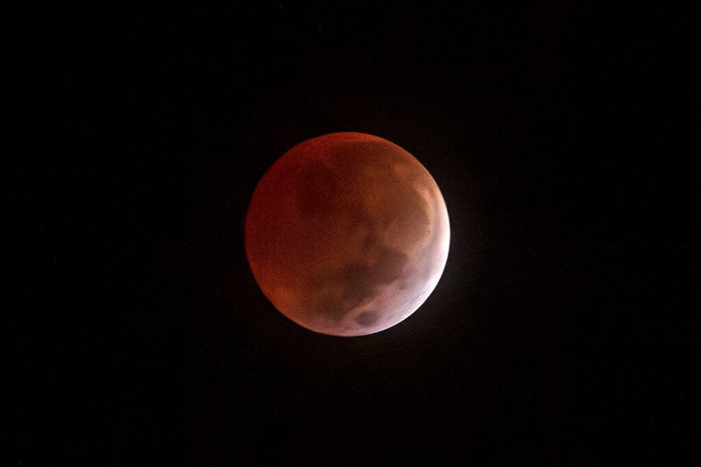 Blood Moon Prophecy